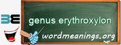 WordMeaning blackboard for genus erythroxylon